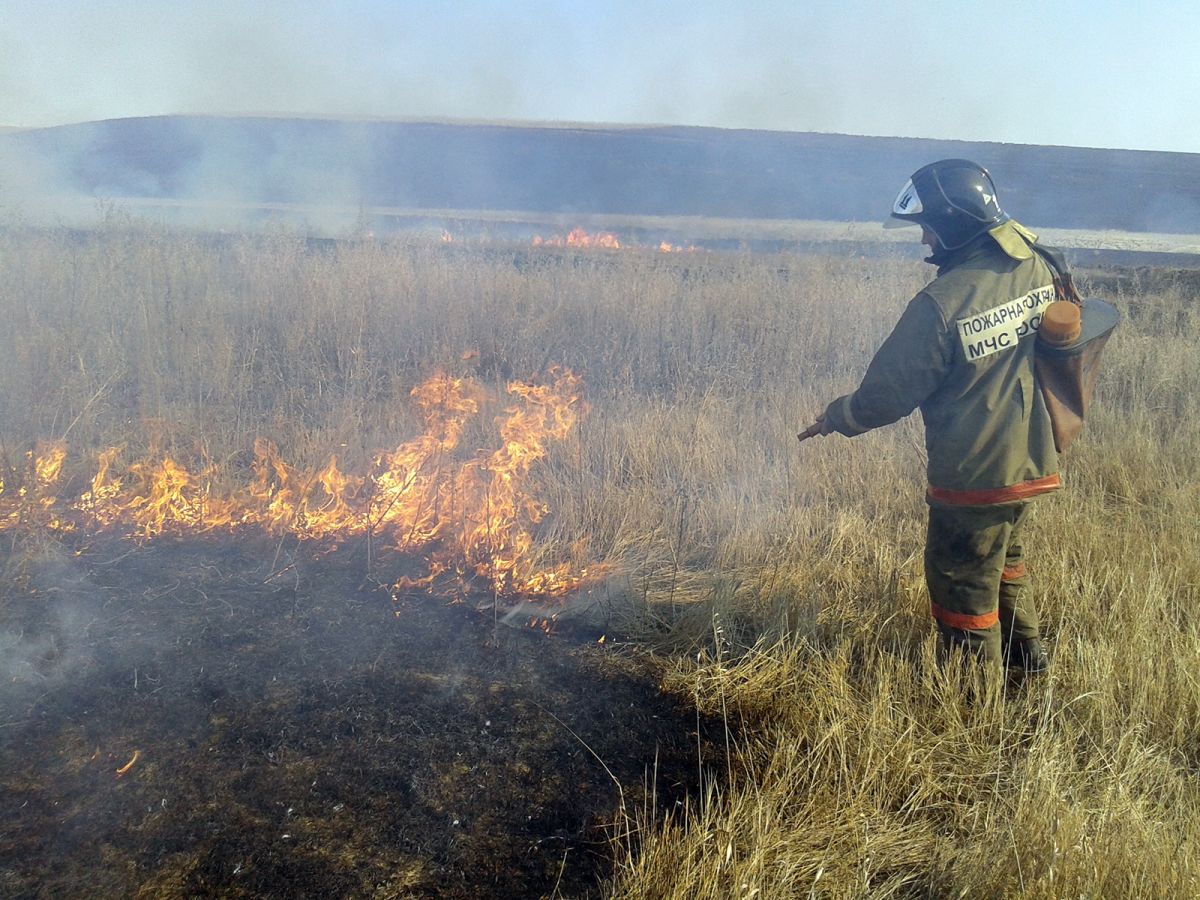 Пожары в Хакасии происходят по вине человека