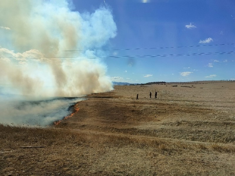 Сильные порывы ветра в Хакасии могут осложнить пожарную обстановку