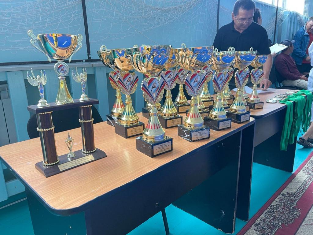 Открытый районный турнир по национальной борьбе «Курес» среди мужчин на призы Главы Администрации Аскизского района