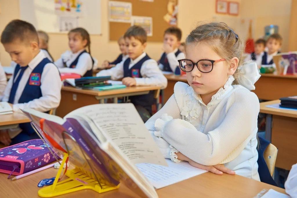 В России появится «золотой стандарт» образования.