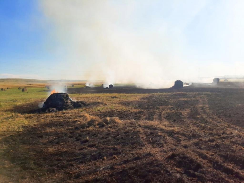 Техническая неисправность привела к загоранию сена и крупному палу травы в Алтайском районе