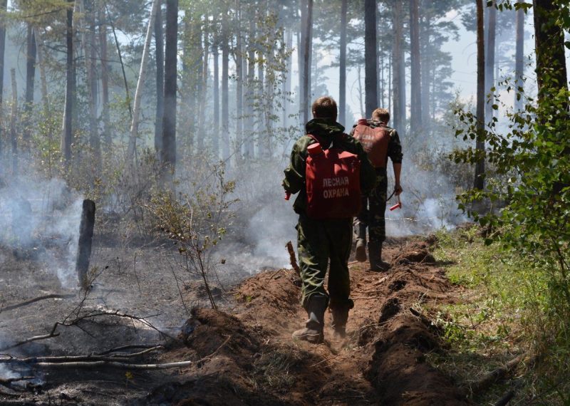 В Хакасии растет количество ландшафтных и лесных пожаров