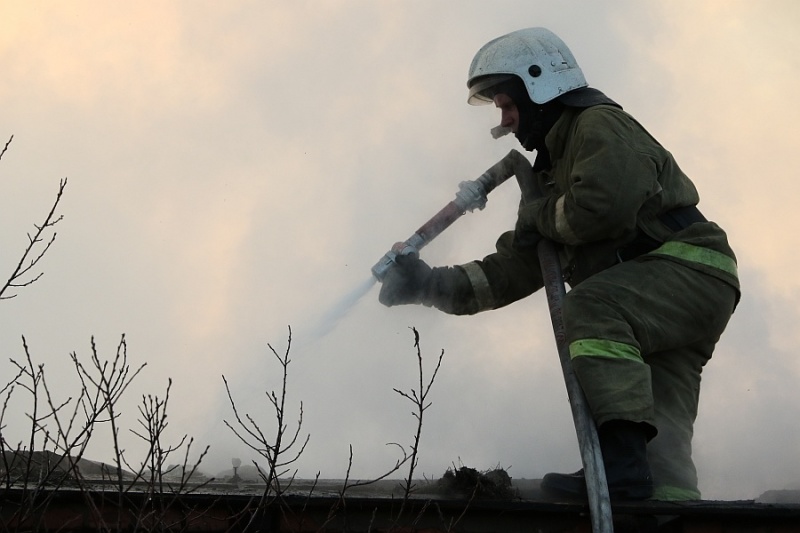 В Сорске пожарные тушили курятник