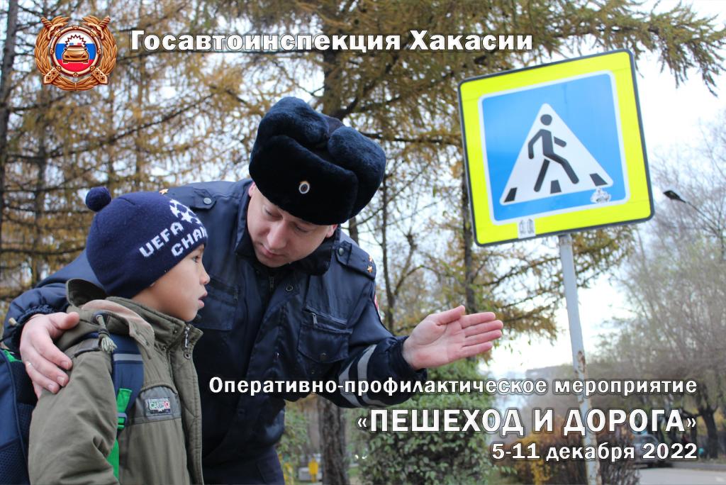 Более тысячи нарушений ПДД выявлено в рамках мероприятия «Пешеход и дорога» в Хакасии