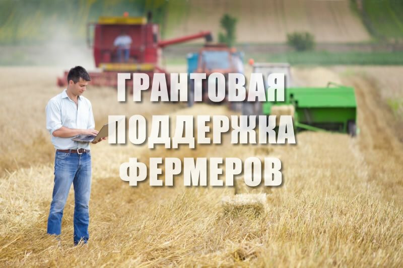 Минсельхозпрод Хакасии объявляет конкурс грантов на развитие семейных ферм