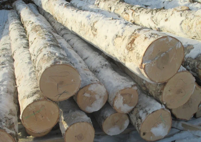 Жители Хакасии смогут самостоятельно решать, как использовать заготовленную древесину
