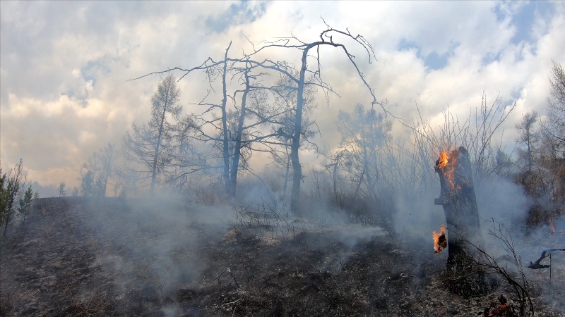 В Хакасии один лесной пожар ликвидировали, тушение двух продолжается