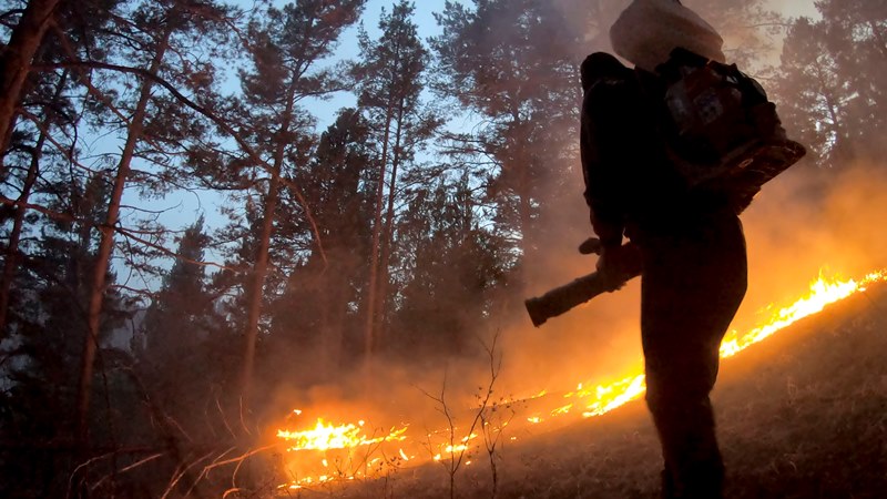 Восемь лесных пожаров зарегистрировано в Хакасии за прошедшую неделю