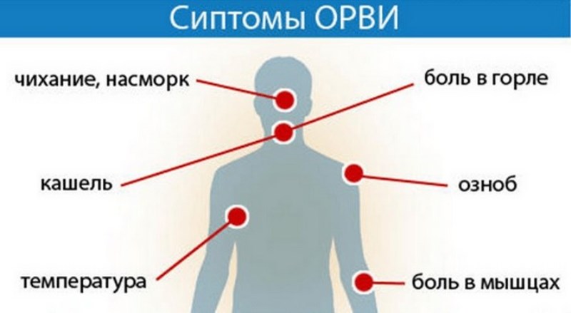 Об эпидемиологической ситуации по заболеваемости ОРВИ и новой коронавирусной инфекцией в Республике Хакасия 