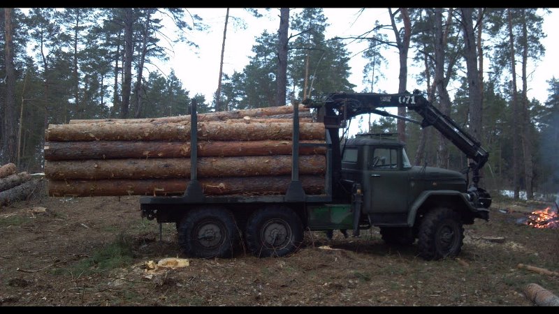 При вывозе из карантинных фитосанитарных зон Республики Хакасия Управлением Россельхознадзора проконтролировано 7523 м. куб. древесины