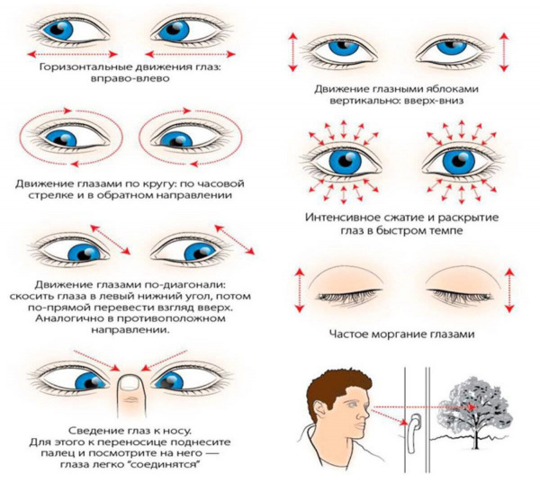 Врачи Хакасии: зарядка для глаз, которая поможет офисным работникам