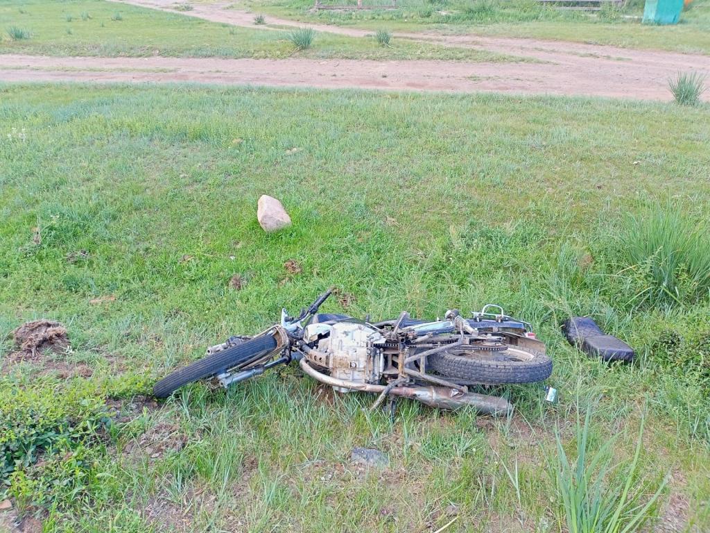 В Аскизском районе в результате наезда на животное госпитализирован мотоциклист