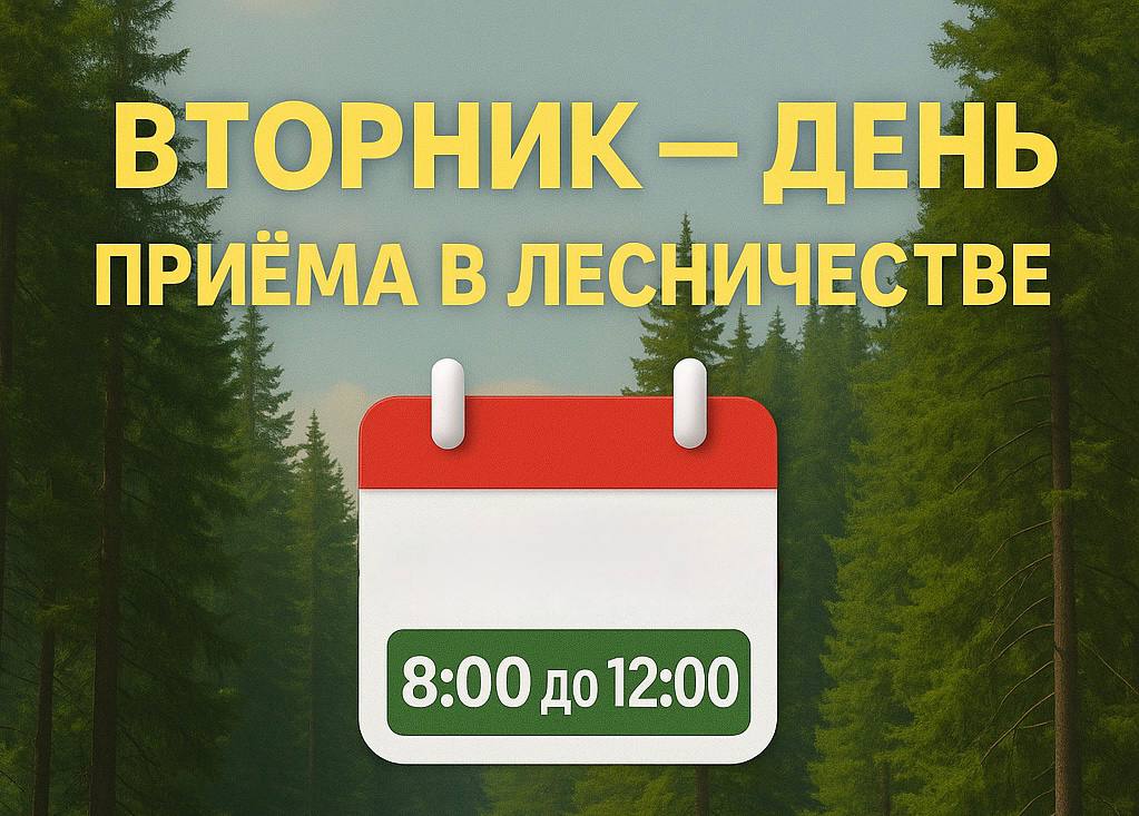 Новый порядок для удобства жителей