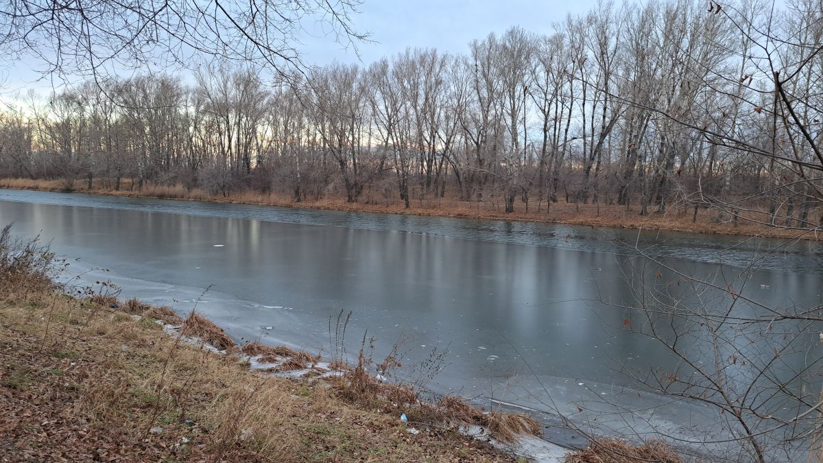 Родителей призывают напомнить детям о соблюдении правил безопасности в школьные каникулы
